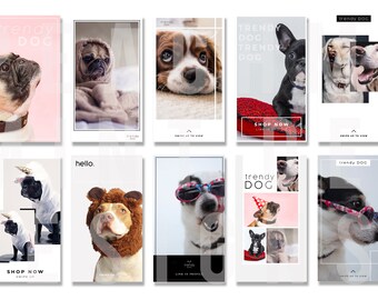 Custom IG Templates for Trendy Dog