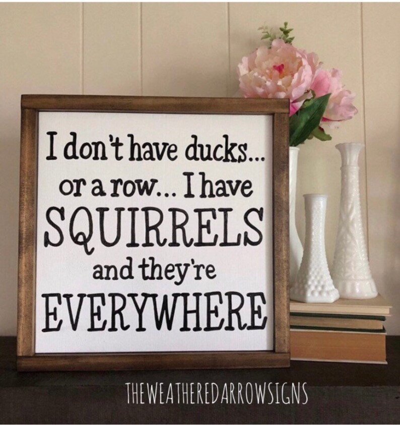 Wood sign Framed or a row.. I don/'t have ducks.. I have SQUIRRELS and they/'re EVERYWHERE