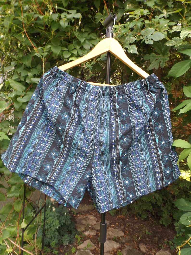 Vintage Swim Trunks 90s Fresh Prince Pacific Scenes XL Vintage XL Board Shorts 90s Swimwear pattern Beach Festival Clothing 1990s Size XL