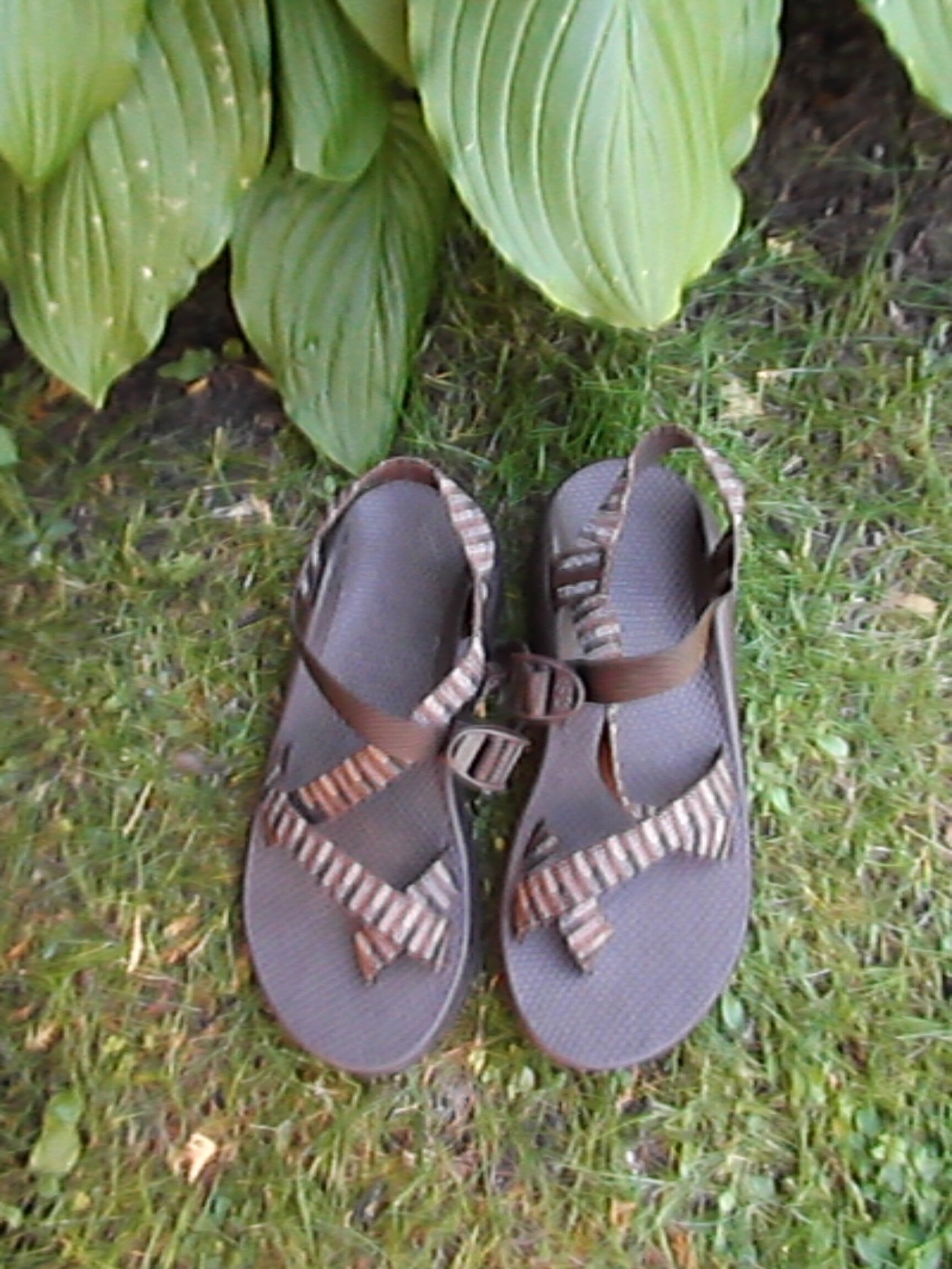 men's chaco flip flops size 10