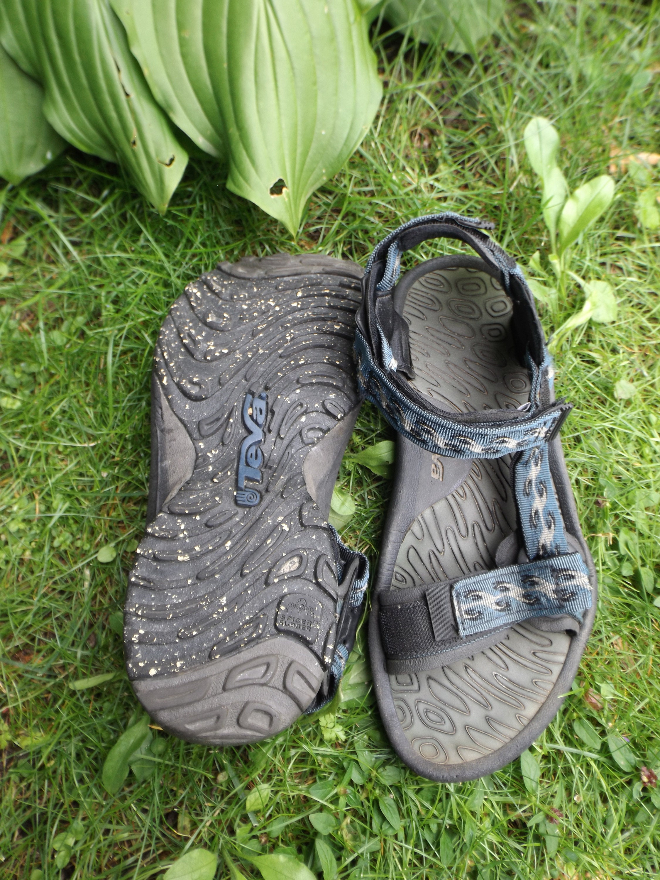 tevas asos