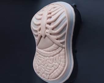 Anatomische Puppenbrust Silikonprothetik: Professionelles SFX Make-up für Halloween, LARP und Cosplay - Latexfrei