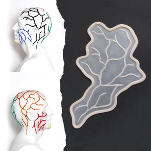May include: A translucent silicone mold featuring a branching, vein-like pattern alongside two white mannequin heads. Each head displays a colorful, intricate map of facial and cranial veins painted in black, blue, green, red, and yellow lines.