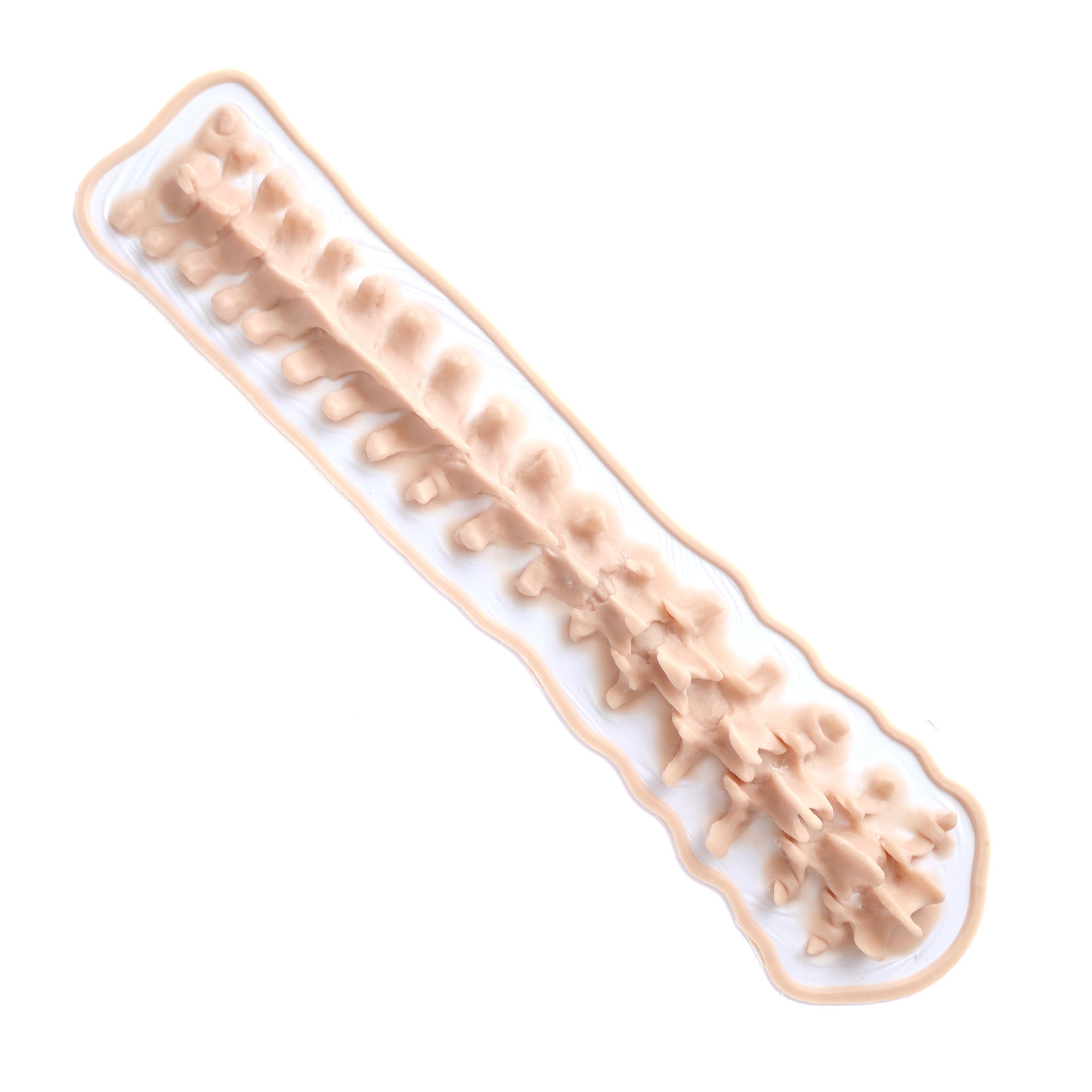 Protruding Spine Silicone Prosthetic: Professional-grade Lifesize SFX ...