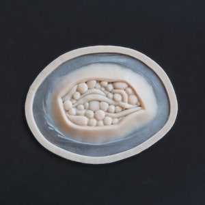 Large Wound / Silicone Prosthetic / Latex Free / Halloween Prosthetics / SFX Makeup / Fake / Scar / Special Effects