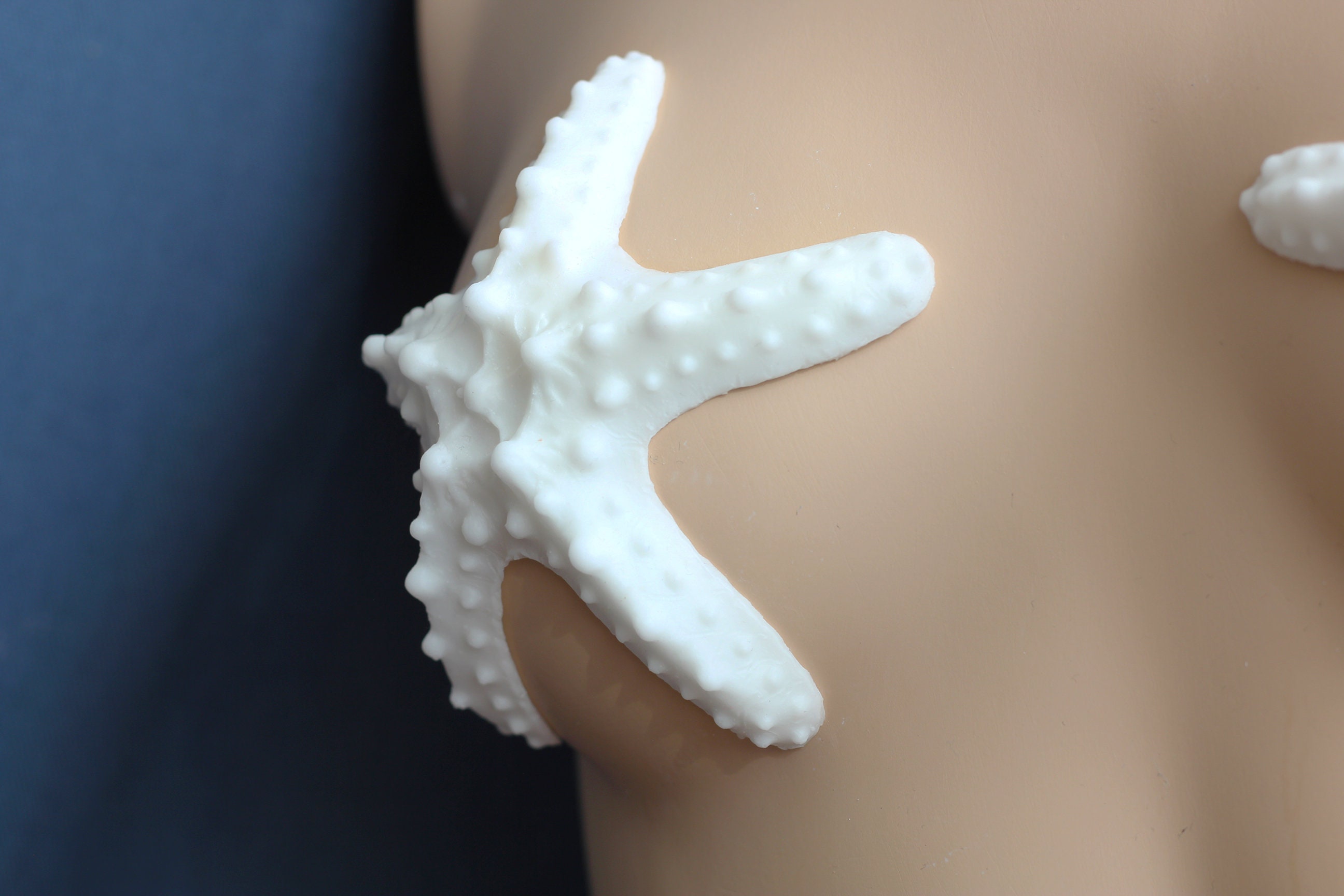 African Sea Star / Mermaid Bra / Silicone prosthetics / Latex free