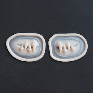 Facial Fangs 2.0 (Pair) / Silicone Prosthetics / Latex Free / Halloween Prosthetic / SFX Makeup / Cosplay Mouth / Spider