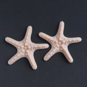 Starfish Custom Nipple Pasties / Silicone Prosthetic / Mermaid Costume / Waterproof / Latex Free / SFX Makeup
