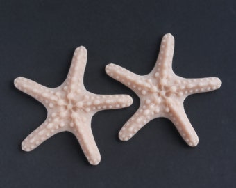 Starfish Custom Nipple Pasties / Prothèse en silicone / Costume de sirène / Imperméable à l’eau / Sans latex / Maquillage SFX