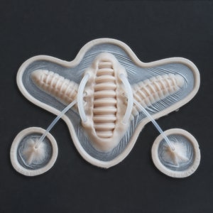 Cyborg / Silicone Prosthetic / Latex Free / Halloween Prosthetics / Special Effects / SFX Makeup / LARP / Cosplay