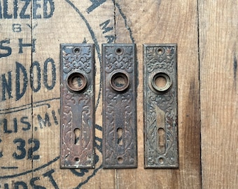 Set of 3 1890s Pressed Door Plates