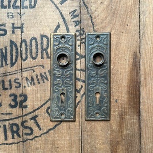 Pair of 1890s Pressed Door Plates image 1