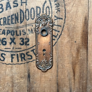 Salvaged Victorian Pressed Door Plate image 1