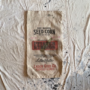 Vintage 1940s Pfister Hybrids Seed Sack Lazier Seed Co Rochelle Il image 1
