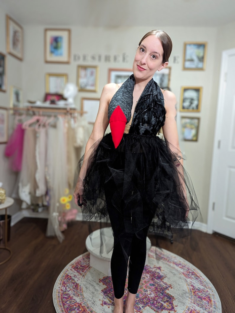 Pu&ograve; includere: Una donna indossa una gonna di tulle nera e leggings con una sciarpa di piume grigie e nere con una forma di diamante rosso all'estremit&agrave;. La parola "DESIR&Eacute;E" &egrave; visibile sul muro dietro di lei.