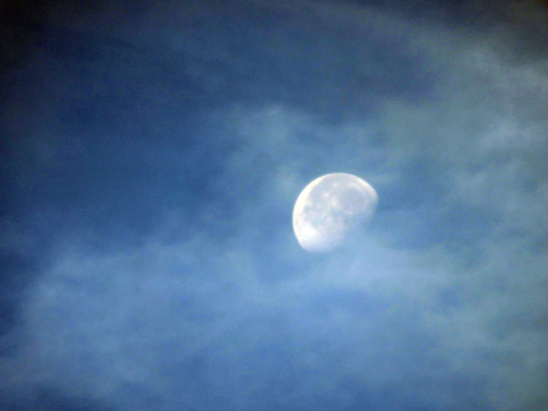 Alaska - Nature Photograph - Alaskan Blue Moon