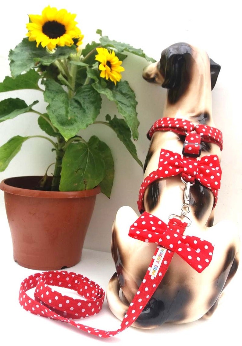 chihuahua harness xxs