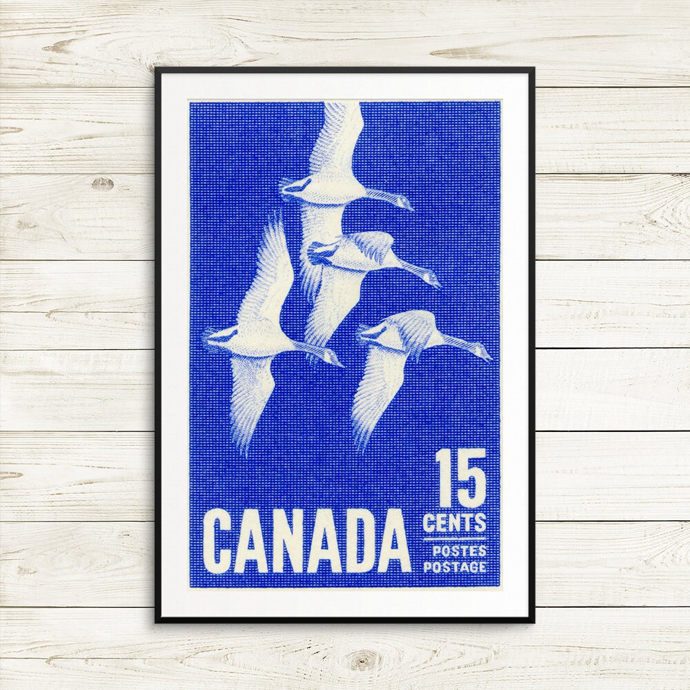 large canada goose poster canada geese wall art unique Etsy