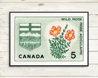 Alberta Canada, Edmonton Alberta, Wild Rose, Rose art, Canadian Rockies, Rocky Mountains, AB Canada, Calgary AB, Edmonton AB, Medicine Hat