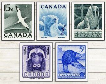 Outdoors gift, canada animal poster set, vintage animal art prints, canadian beaver prints, muskox art, walrus illustrations, polar bear art