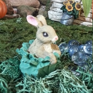 Fairy Garden Miniature Bunny Rabbit in Cabbage (Resin)  for your Fairy Garden, Mini Bunny, Fairy Garden Accessory, Terrarium Accessory
