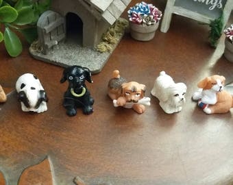 dolls house miniature dogs