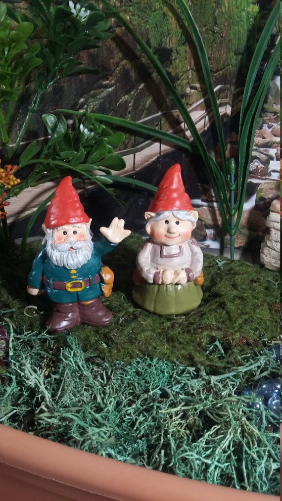 Fairy Garden Miniature Gnomes For Your Ma Pa Gnome Couple Wedding Anniversary Cake Toppers - Fairy Garden Trees With Faces Fairy Garden Miniature Gnomes For Your Ma Pa Gnome Couple Wedding Anniversary Cake Toppers - Fairy Garden Trees With Faces