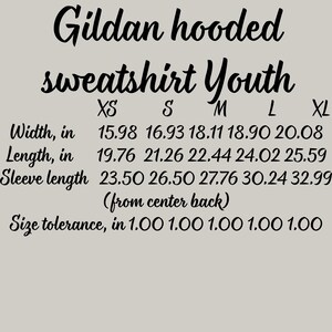 Youth North Carolina Mountains Bear Hoodie – Outdoor Travel Apparel image 2