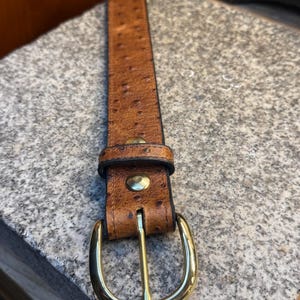 May include: A brown belt with a textured, dotted surface pattern resembling ostrich skin. The belt features a polished gold-tone metal buckle and a matching gold-tone metal stud fastener on the strap loop, providing a secure closure mechanism.