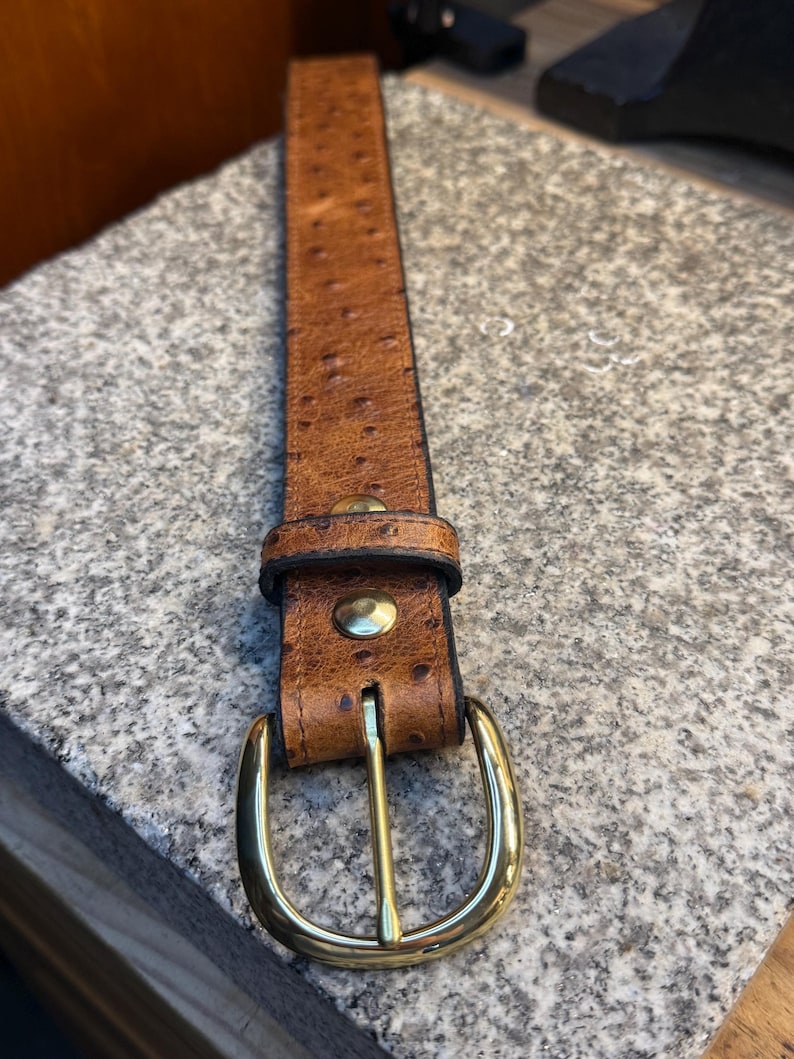 May include: A brown belt with a textured, dotted surface pattern resembling ostrich skin. The belt features a polished gold-tone metal buckle and a matching gold-tone metal stud fastener on the strap loop, providing a secure closure mechanism.