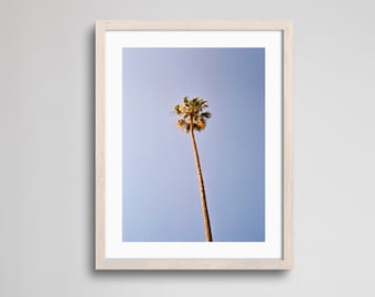 Palm Tree | Fine Art Print | Analogue Photography | 35mm Film Photography | Gallery Wall Decor | Eclectic Home