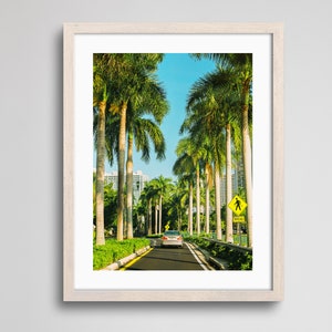 Miami Vice | Fine Art Print | Analogue Photography | 35mm Film Photography | Gallery Wall Decor | Eclectic Home