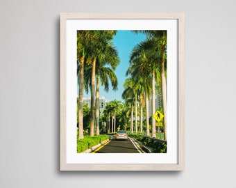 Miami Vice | Fine Art Print | Analogue Photography | 35mm Film Photography | Gallery Wall Decor | Eclectic Home