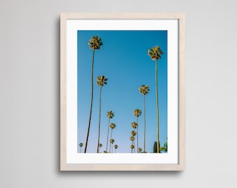 Row of Palm Trees in Los Angeles | Fine Art Print | Analogue Photography | 35mm Film Photography | Gallery Wall Decor | Eclectic Home