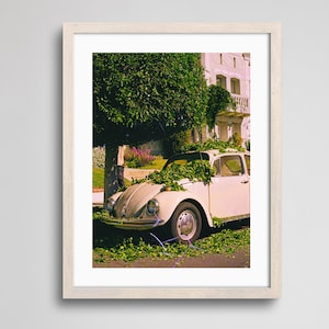 Rhapsody in Bloom Car | Fine Art Print | Analogue Photography | 35mm Film Photography | Gallery Wall Decor | Eclectic Home