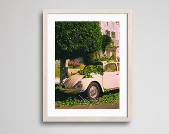 Rhapsody in Bloom Car | Fine Art Print | Analogue Photography | 35mm Film Photography | Gallery Wall Decor | Eclectic Home