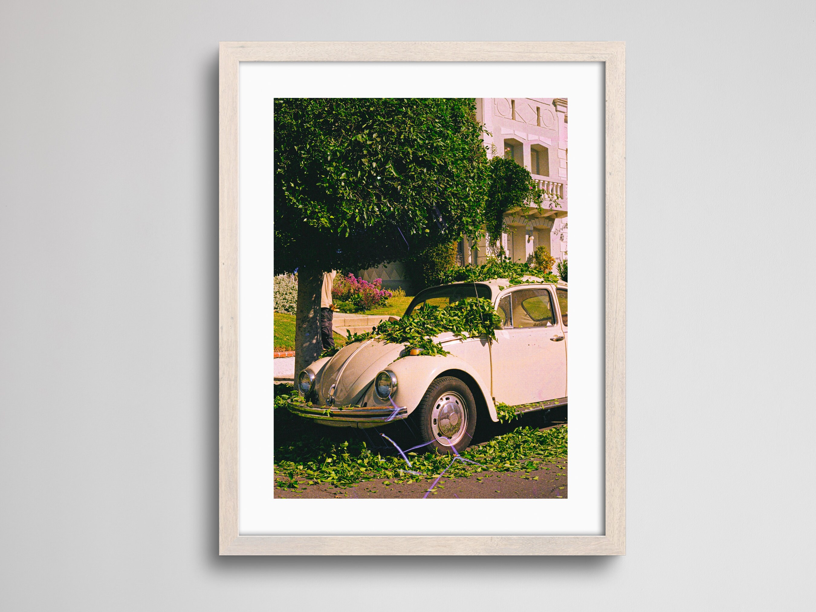 Rapsodie in Bloom Car | Fine Art Print | Analoge fotografie | 35mm Filmfotografie | Galerij Wall Decor | Eclectisch huis