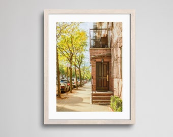 Door in Brooklyn | Fine Art Print | Analogue Photography | 35mm Film Photography | Gallery Wall Decor | Eclectic Home