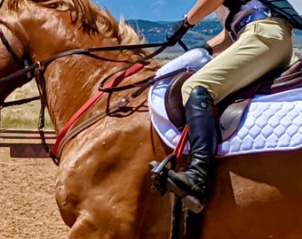 調節可能なBioThane馬用ネックストラップ：安全な乗馬トレーニング補助具