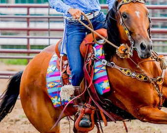 XP Barrel Saddle Pad in San Gabriel