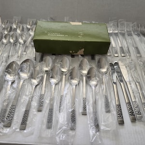 Vintage 54 Piece Stanley Roberts Casa Vista Flatware Set - Rogers Co Japan Original Box