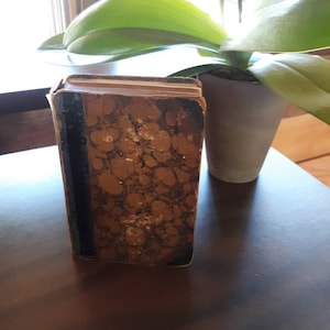 May include: A vintage, brown, marbled book with a black spine and gold lettering. The book is sitting on a wooden table next to a potted green plant.