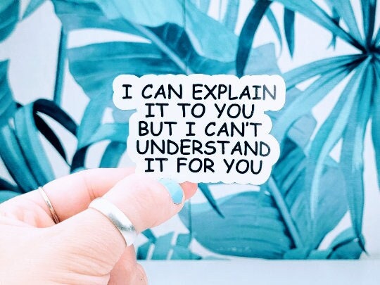 Explain Synonym Sticker Funny Sarcastic Quote Sticker: I Can Explain It to You, Waterproof ...