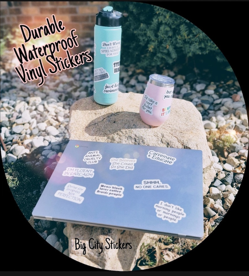 Peut inclure: Une collection d'autocollants en vinyle imperm&eacute;ables pr&eacute;sentant diverses phrases et designs. Les autocollants sont affich&eacute;s sur un ordinateur portable, une bouteille d'eau et un gobelet. Certaines des phrases incluent "Anti Animal Cruelty Club", "She Believed She Could So She Did", "Caffeinate + Educate", "I'm Fluent in Sarcasm", "Just Go Swimming", "Don't Worry I Have a Spread Sheet for That", "Strive for Perfection", "Wear Black Love Coffee Avoid People", "Shhh, No One Cares", "I Don't Like Morning People or Mornings or People", "Id Take a Nerf Bullet for You", "But You Can't Buy It", "Big City Stickers".