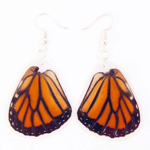 Real butterfly wings earrings from Danaus plexippus Monarch butterfly unusual gift for her