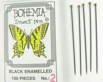 Schwarze Insekten Stecknadeln: Entomologie Stecknadeln - Tschechien, 100 Stück