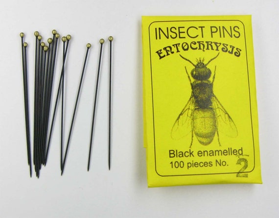 Insect Pins Black For Entomological Purposes Insect Mounting Etsy