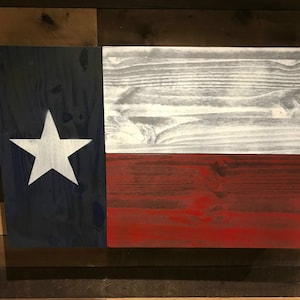 Bandiera del Texas per la difesa domestica a 3 scomparti nascosta