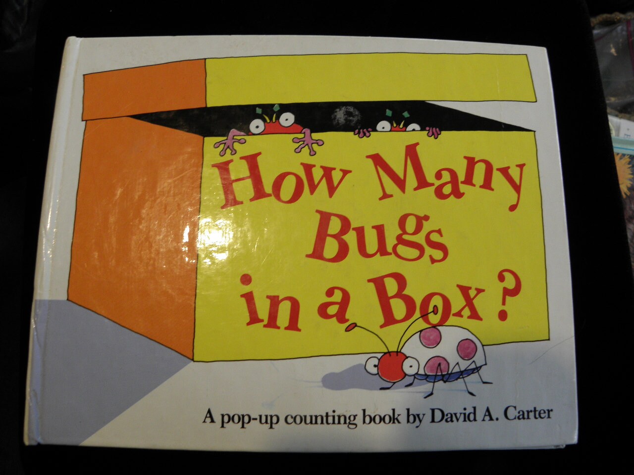 How many bugs in a box simon scuster msseowsseo