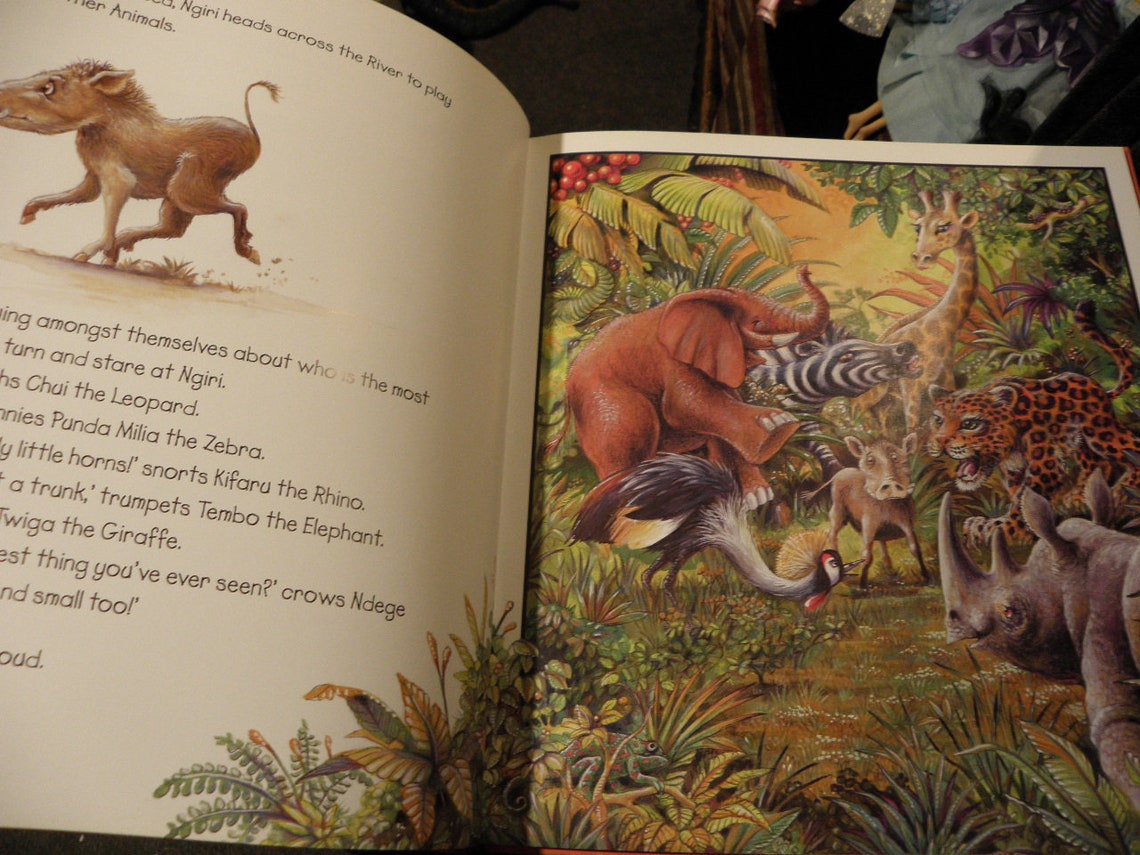 Jungle Drums book hardcover new 2004 by Graeme Base Etsy